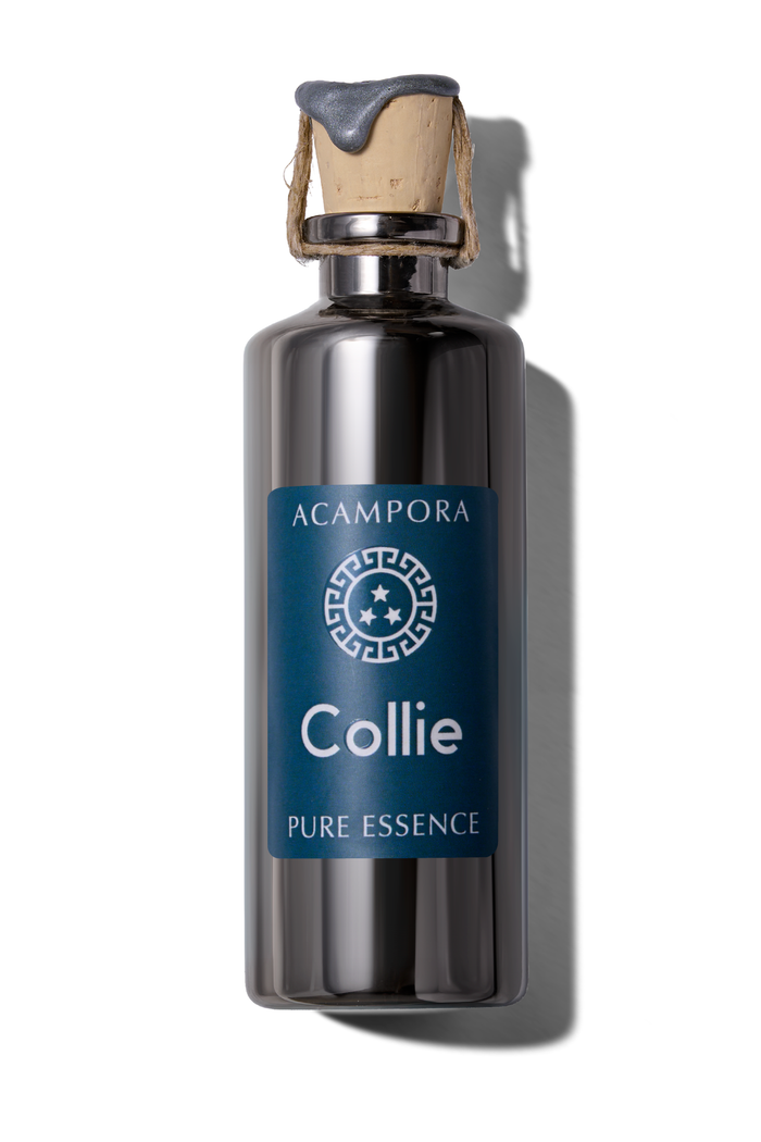Collie - Pure Essence