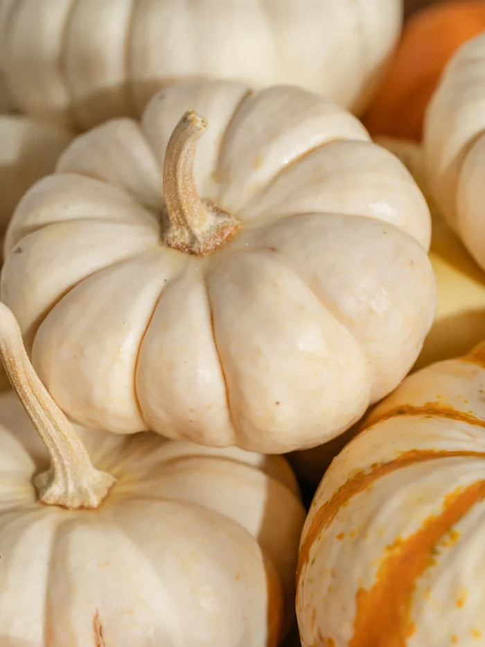 Pura Fragrance- Pumpkin Macchiato by Archipelago