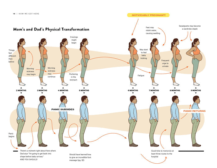 Topix Media Lab - HOW TO DAD: An Illustrated Instruction Manual