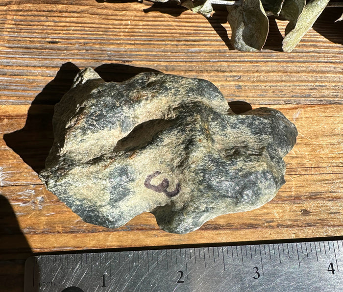 Wyoming Olive Jade Slick rock on a wooden surface beside a ruler for scale, purple 3 marking
