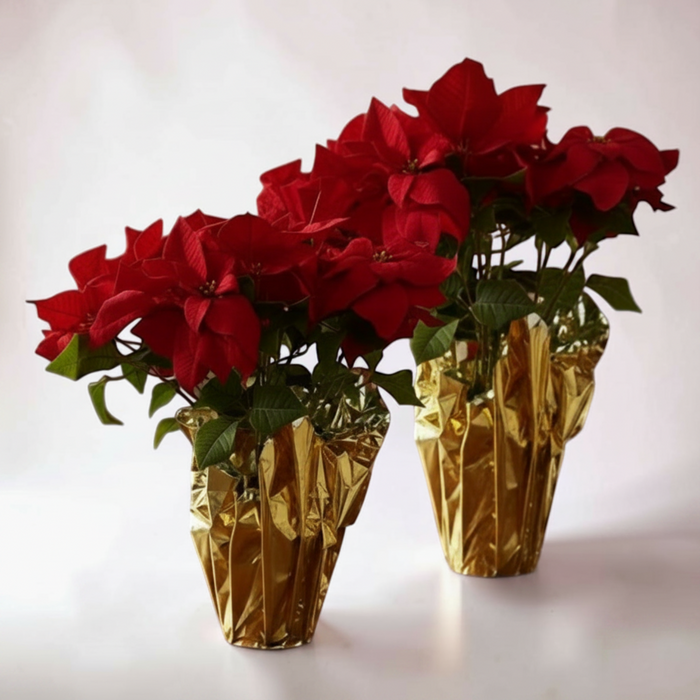 Artificial Poinsettia