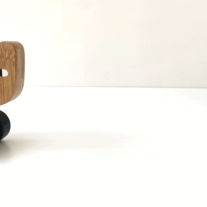 Wee Gallery Bear Push Toy