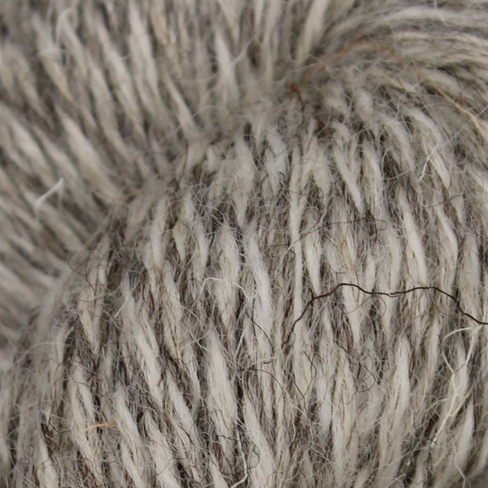 British Breeds | Baa Ram Ewe
