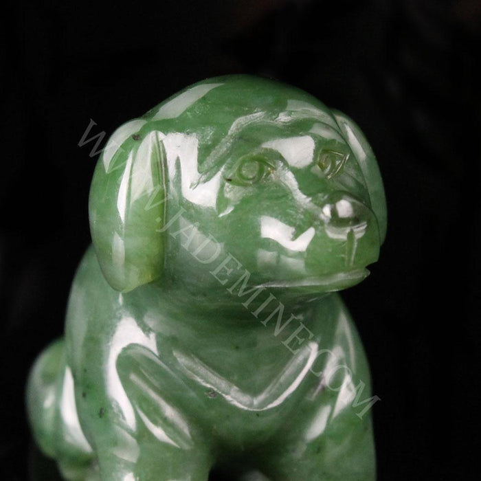 Canadian Jade Dog Lab