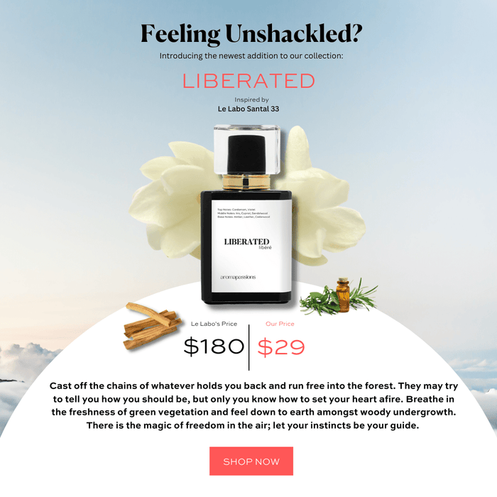 Le Labo Santal 33 Dupe - aromapassions