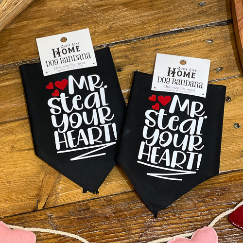 Mr. Steal Your Heart Dog Bandana