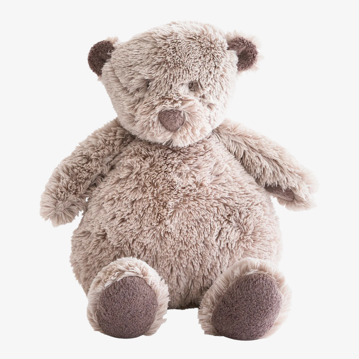Plush teddy bear on a white background