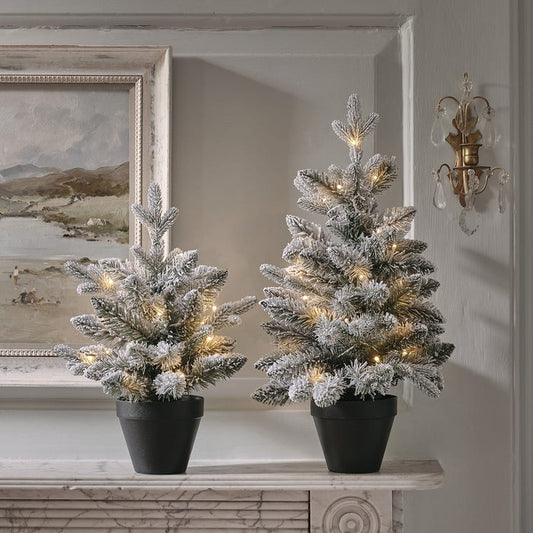 Pre Lit Snowy Christmas Tree Duo
