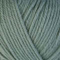 3316 - Thyme