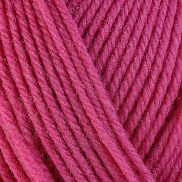 3331 - Hibiscus